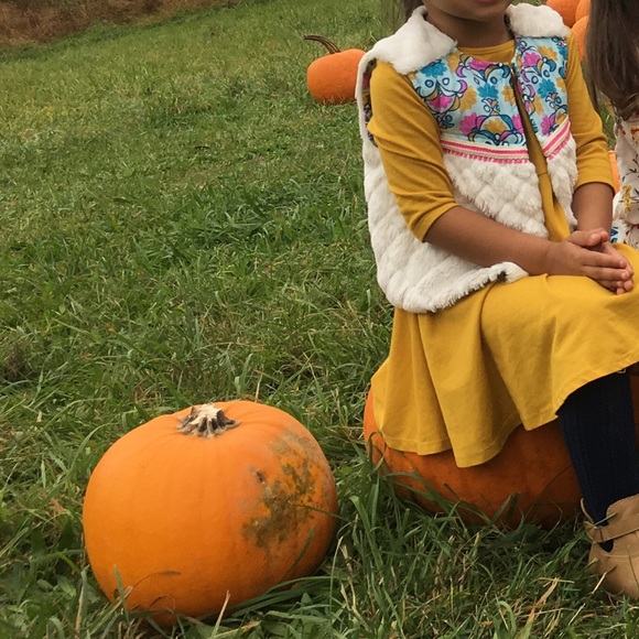 Toddler girl faux fur vest - Picture 5 of 6